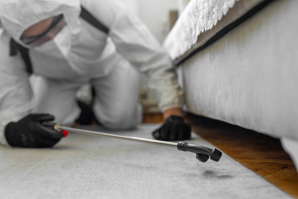 Professional Termite Control technician working in East St. Louis, IL