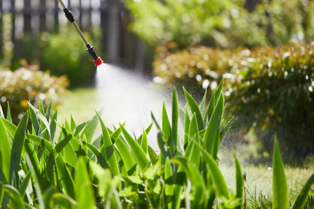 24/7 Emergency Termite Control experts in East St. Louis, IL