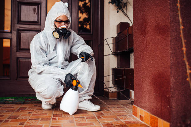 Reliable Termite Control contractor in East St. Louis, IL by Nex Pest Control