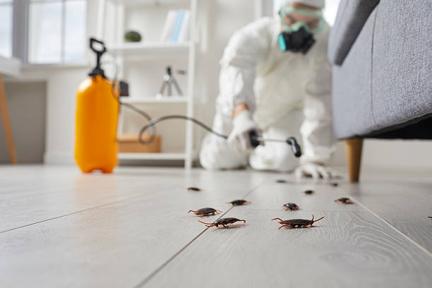 Trusted Fumigation Services service in East St. Louis, IL - Nex Pest Control