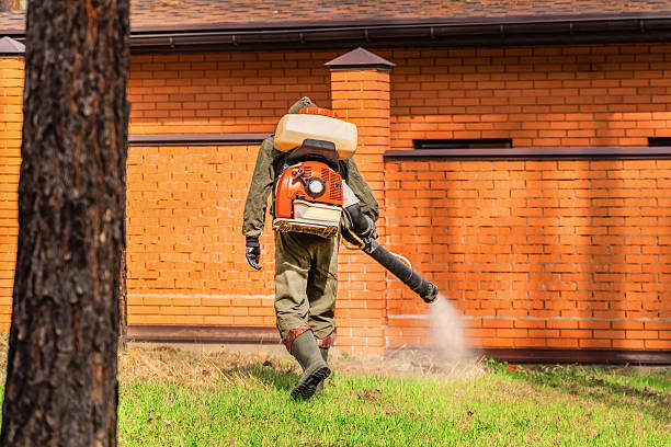 Trusted Termite Control service in East St. Louis, IL - Nex Pest Control